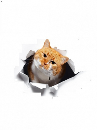 Наклейка интерьерная Рыжий кот из бумаги 20х30 см