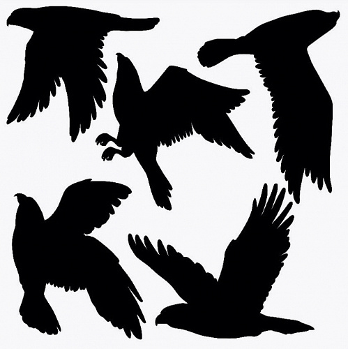 Орлы на черной пленке 30х30см Орлы на черной пленке 30х30см eagles