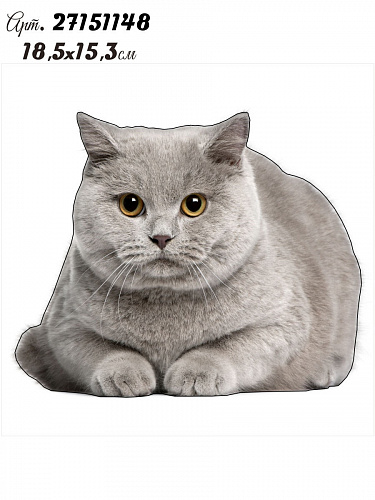 Наклейка Котята 20х20 Наклейка Котята 20х20