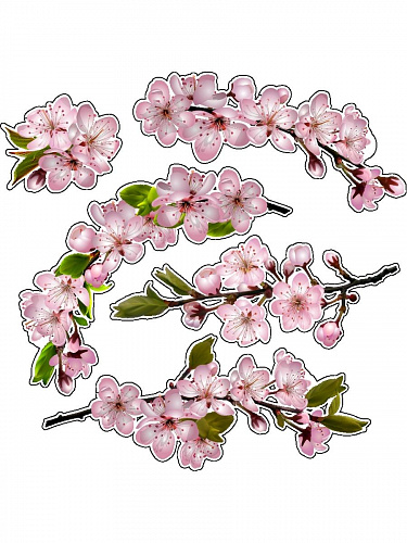 Наклейка Сакура 30х30 Наклейка Сакура 30х30 sakura