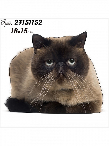 Наклейка Котята 20х20 Наклейка Котята 20х20