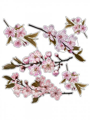 Наклейка Сакура 30х30 Наклейка Сакура 30х30 sakura