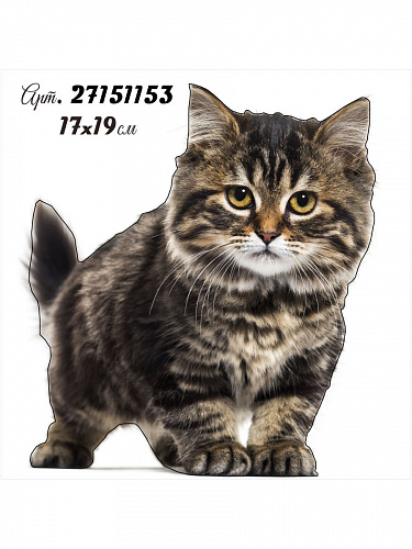 Наклейка Котята 20х20 Наклейка Котята 20х20