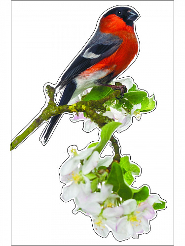 Наклейки декоративные Снегири Наклейки декоративные Снегири snegiri