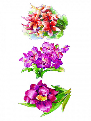 Наклейки декоративные "Красные букеты ", 100х47 см Наклейки декоративные "Красные букеты ", 100х47 см фото