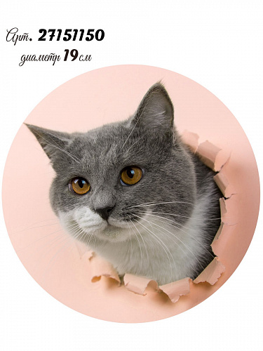 Наклейка Котята 20х20 Наклейка Котята 20х20