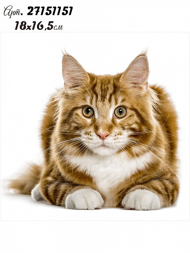 Наклейка Котята 20х20 Наклейка Котята 20х20